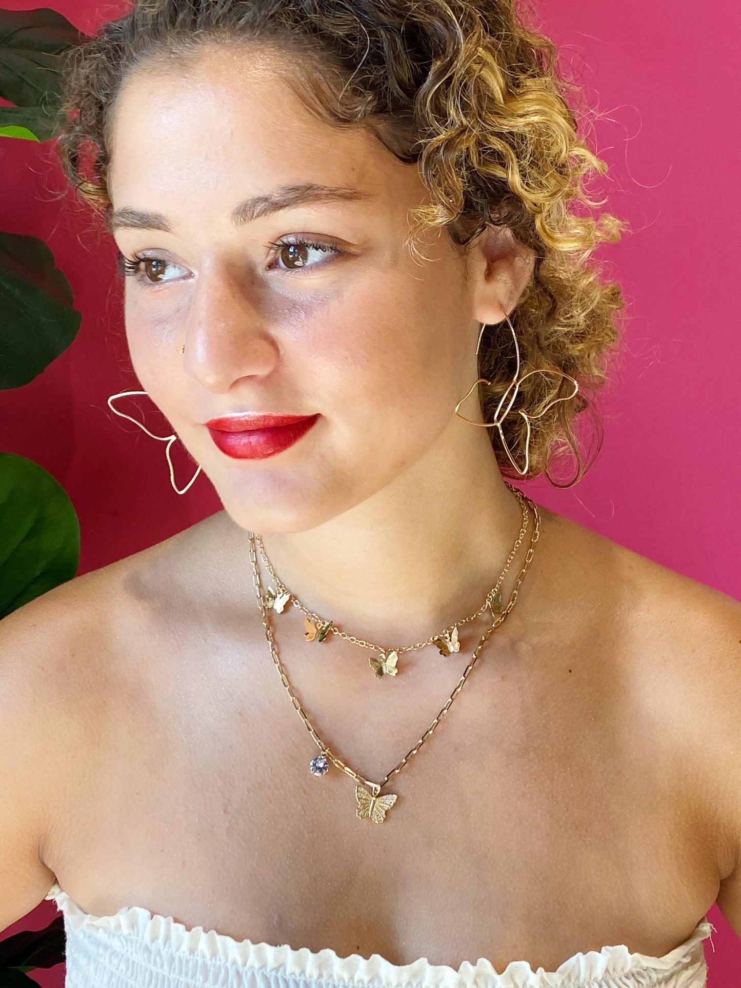 Vlinderkolonieketting
