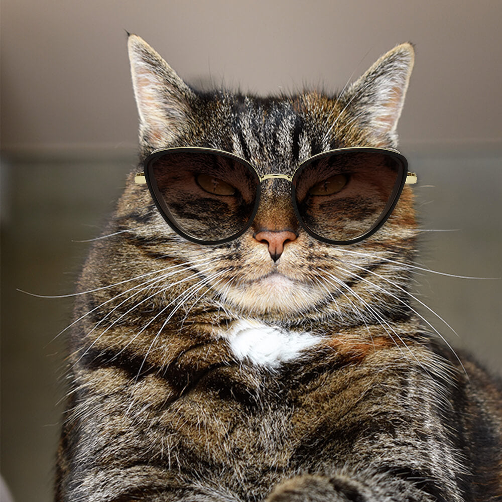 NARVA | Dames Elegante Glitter Glamour Cateye Feline Fashion Zonnebril