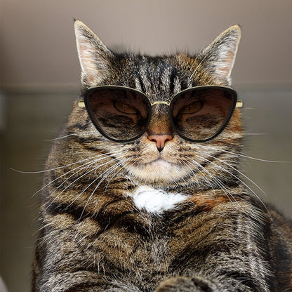 NARVA | Dames Elegante Glitter Glamour Cateye Feline Fashion Zonnebril